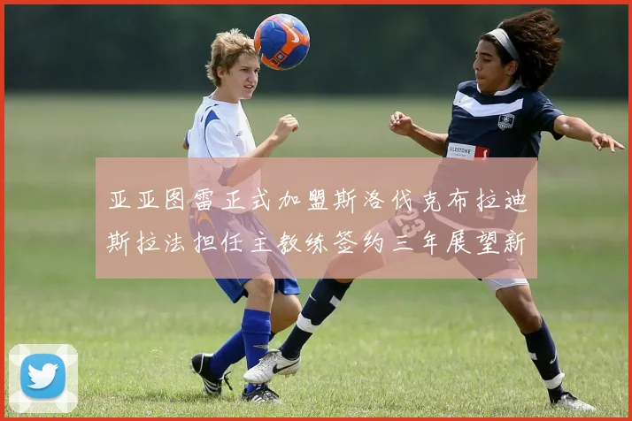 亚亚图雷正式加盟斯洛伐克布拉迪斯拉法担任主教练签约三年展望新篇章