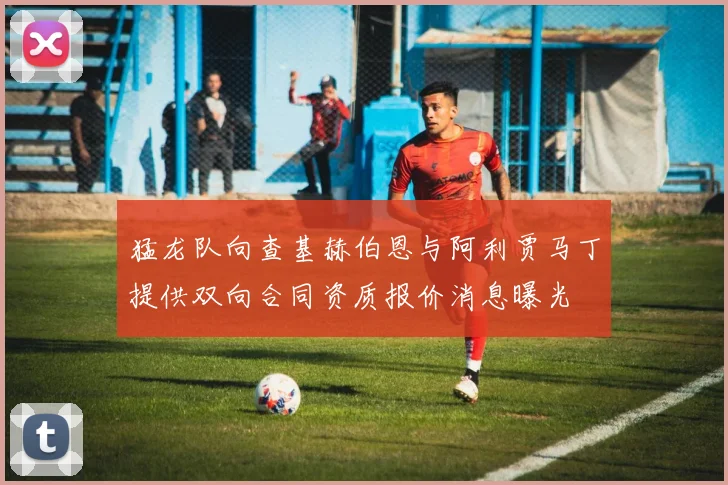 猛龙队向查基赫伯恩与阿利贾马丁提供双向合同资质报价消息曝光