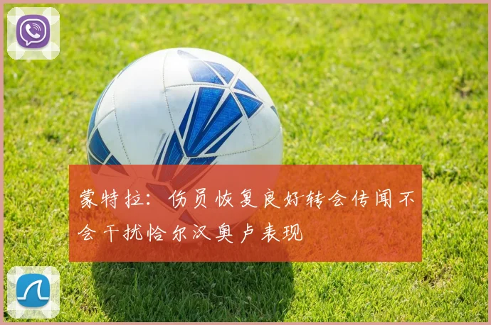 蒙特拉：伤员恢复良好转会传闻不会干扰恰尔汉奥卢表现